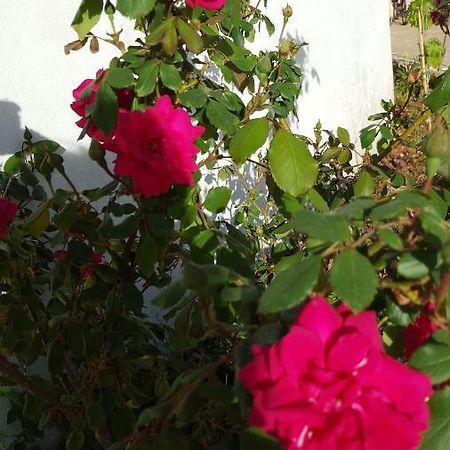 マルティナ・フランカ Giardini Di Lanzoヴィラ エクステリア 写真